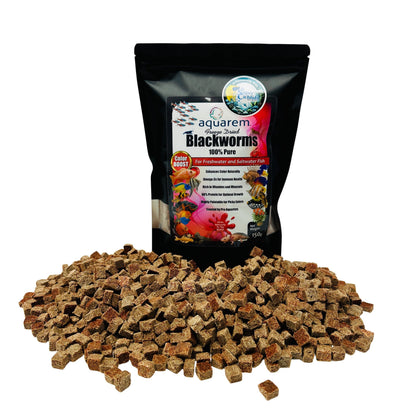 Premium Freeze Dried Blackworms - Color Boost