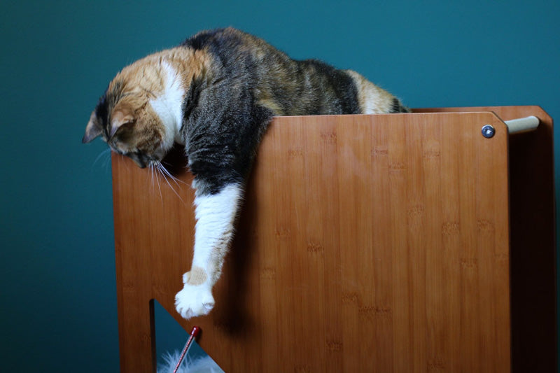 The Overlook - Sturdy - Bamboo Cat Tree