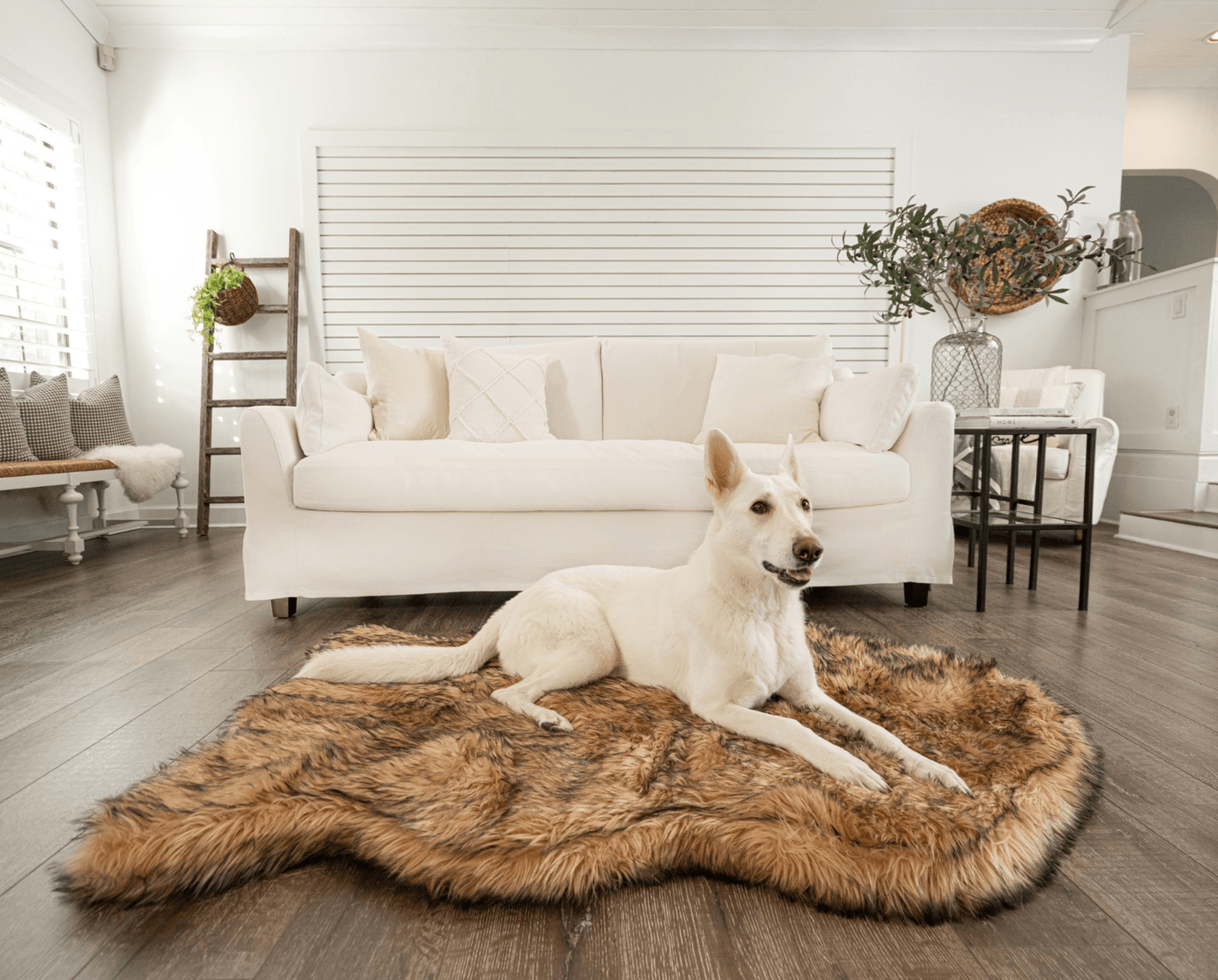 PupRug by Paw.com® Faux Fur Orthopedic Dog Bed - Curve Sable Tan