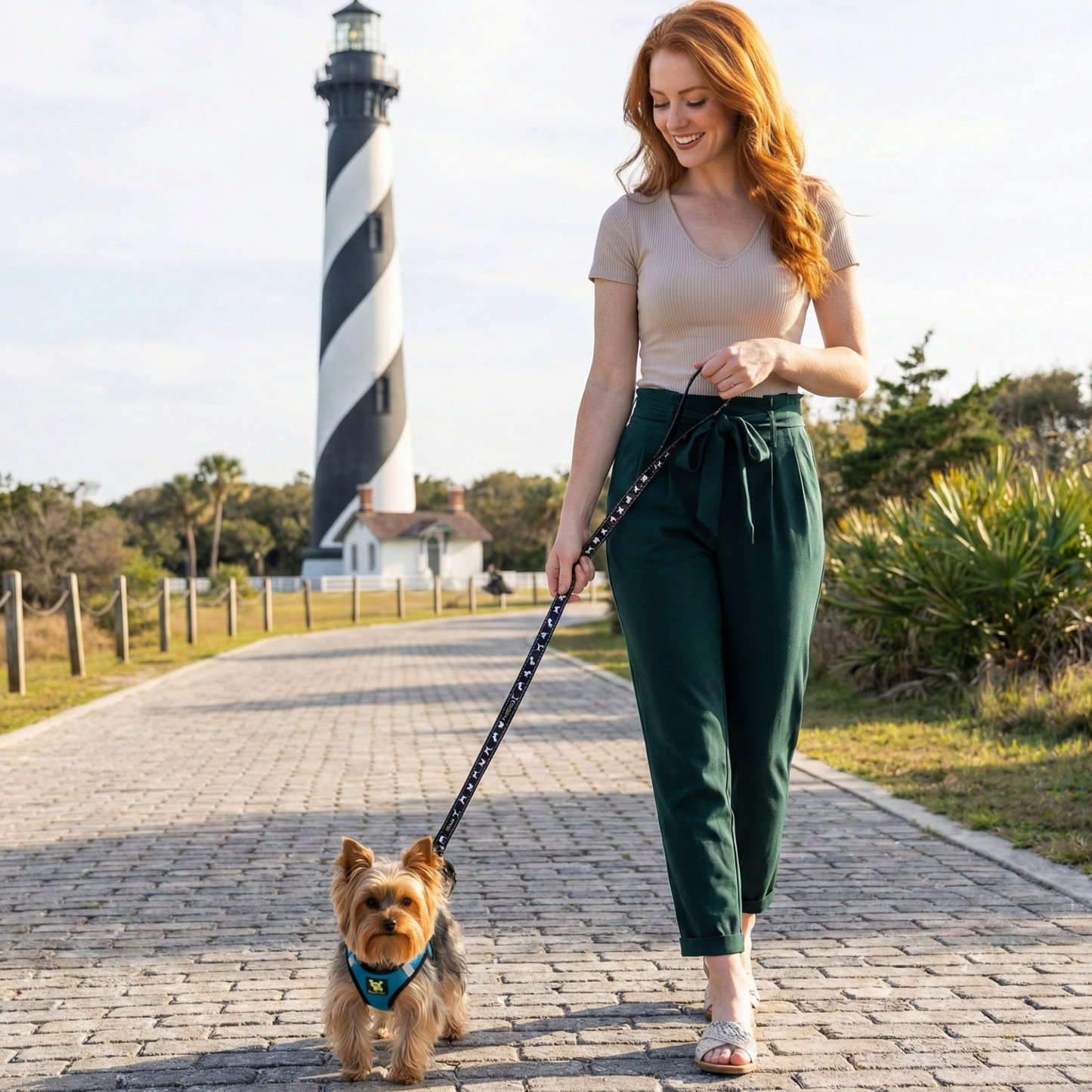EcoBark Step In Dog Harness - XXXS to Medium Breeds- Reflective Soft Mesh Harness for Teacup, Small Dogs and Puppies / Teal