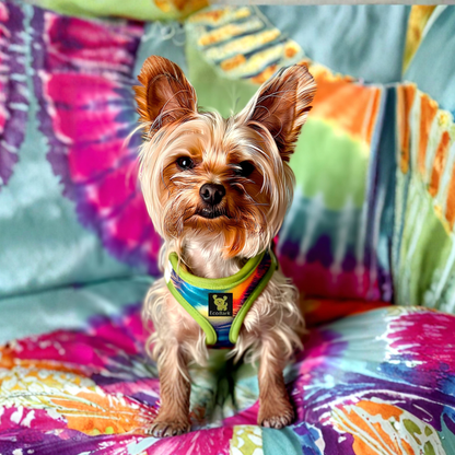 EcoBark Step In Dog Harness - XXXS to Medium Breeds- Reflective Soft Mesh Harness for Teacup, Small Dogs and Puppies / Tie-dye
