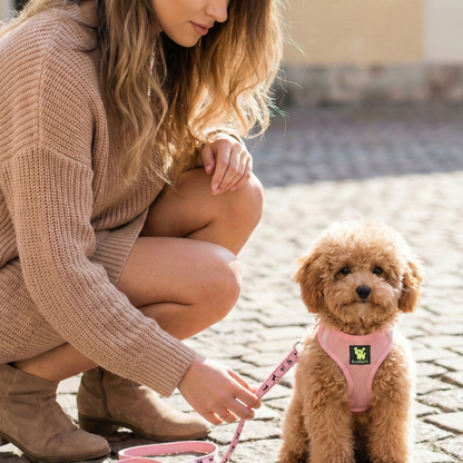 EcoBark Step In Dog Harness - XXXS to Medium Breeds- Reflective Soft Mesh Harness for Teacup, Small Dogs and Puppies / Baby Pink
