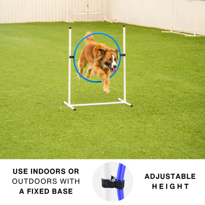 Better Sporting Dogs 3 Piece Dog Agility Equipment Set – with Jumps & Tunnel