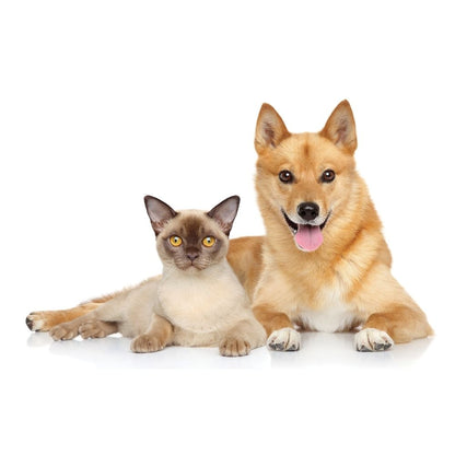 UBAVET UBACALM Calming Soft Chews for Dogs & Cats – Natural Stress & Anxiety Relief