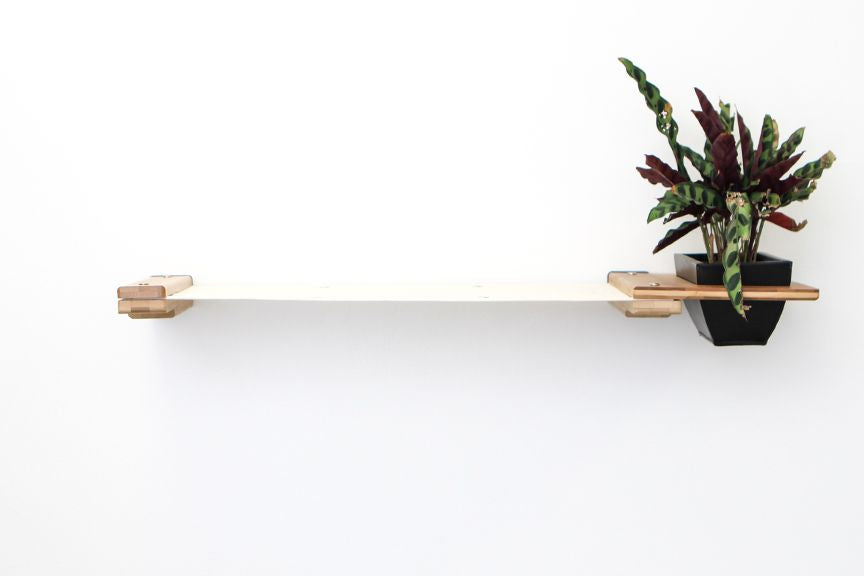 Cat Hammock Wall with Planter
