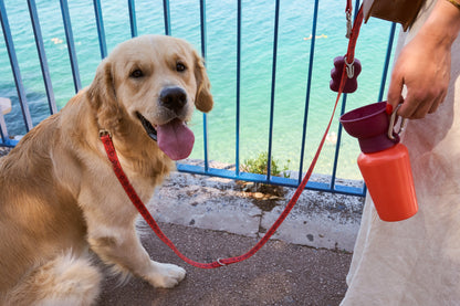 Silicone Dog Treat Dispenser