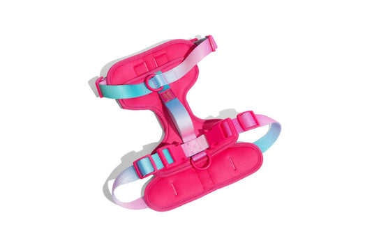 Stasia Dog Harness