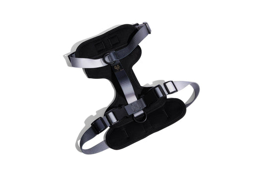 Rowan Dog Harness