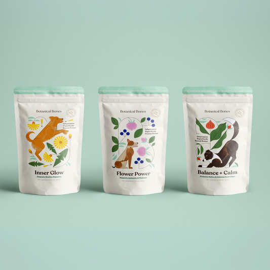 Wellness Bundle | Complete Dog Treat Collection | 3 Superfood Formulas