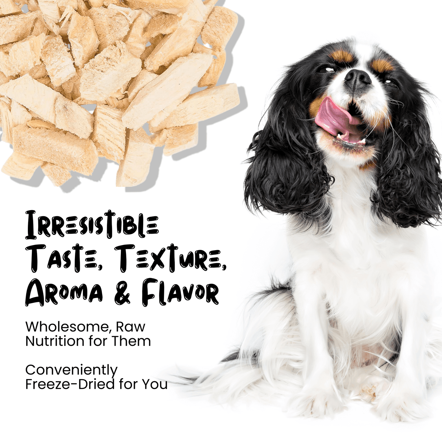 Wholesale Freeze Dried Chicken Breast Treats