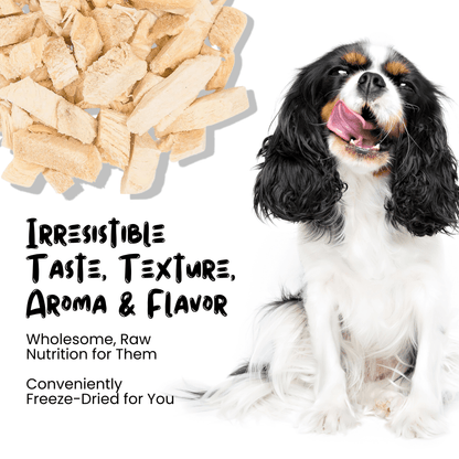 Wholesale Freeze Dried Chicken Breast Treats