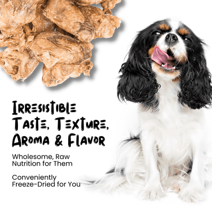 Wholesale Freeze Dried Chicken Heart Treats