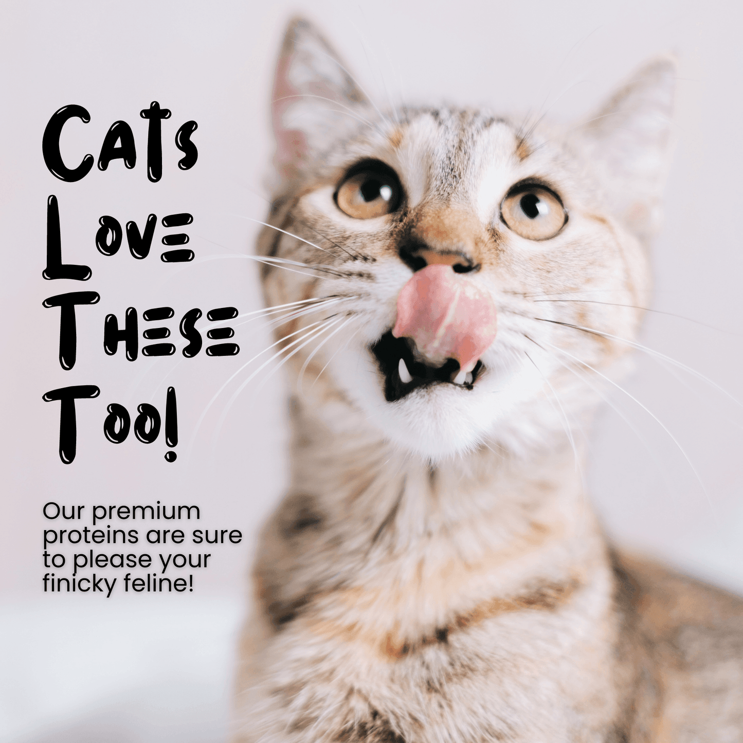 Wholesale Freeze Dried Duck Heart Treats