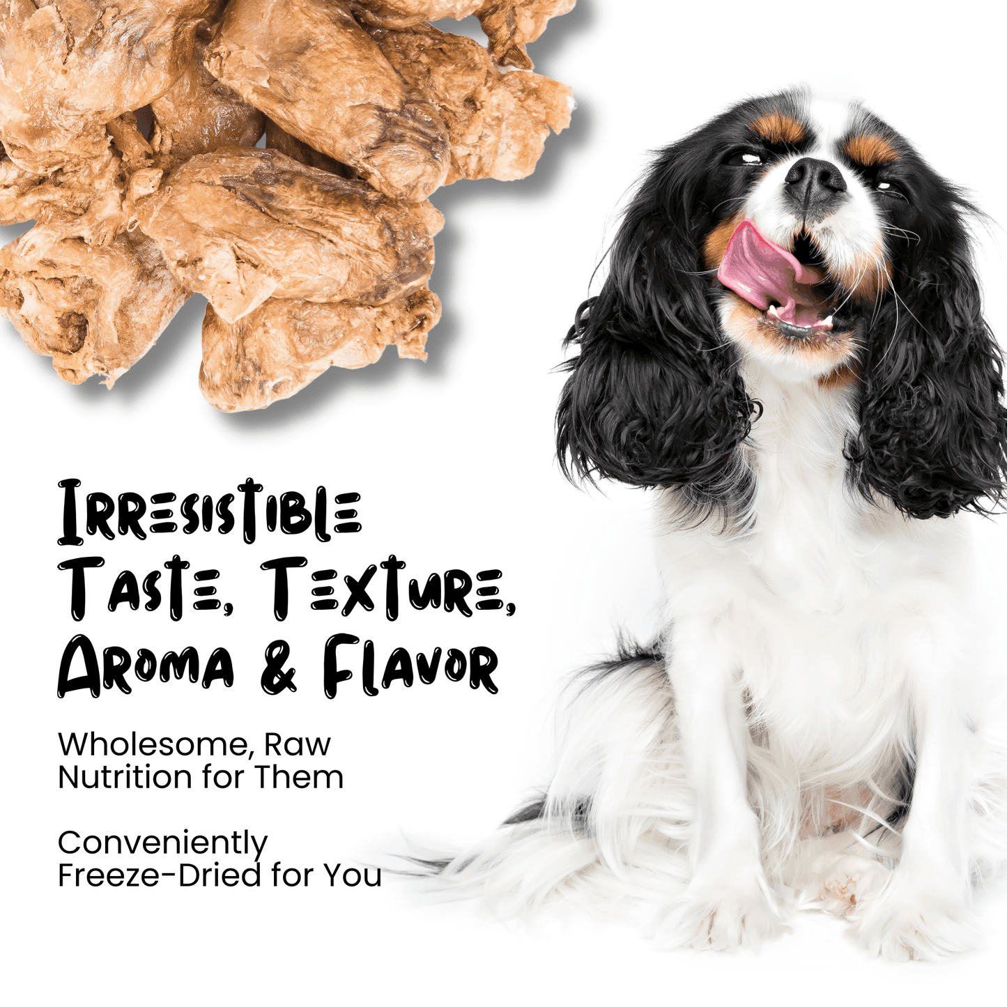 Wholesale Freeze Dried Duck Heart Treats