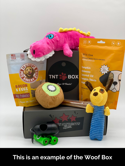 Toys N Treats Gift Boxes