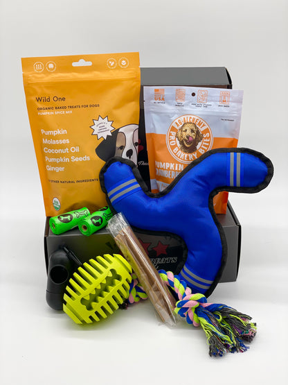 Toys N Treats Subscription Box with premium treats and toys for every dog breed.