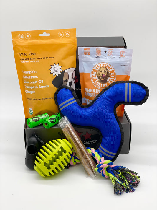 Toys N Treats Subscription Box with premium treats and toys for every dog breed.